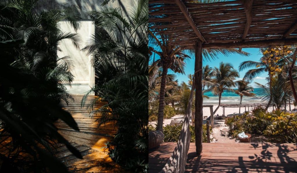 ¿95% de ocupación? Tulum proyecta su cifra máxima para diciembre, superando los retos locales 1 ¿95% de ocupación? Tulum proyecta su cifra máxima para diciembre, superando los retos locales