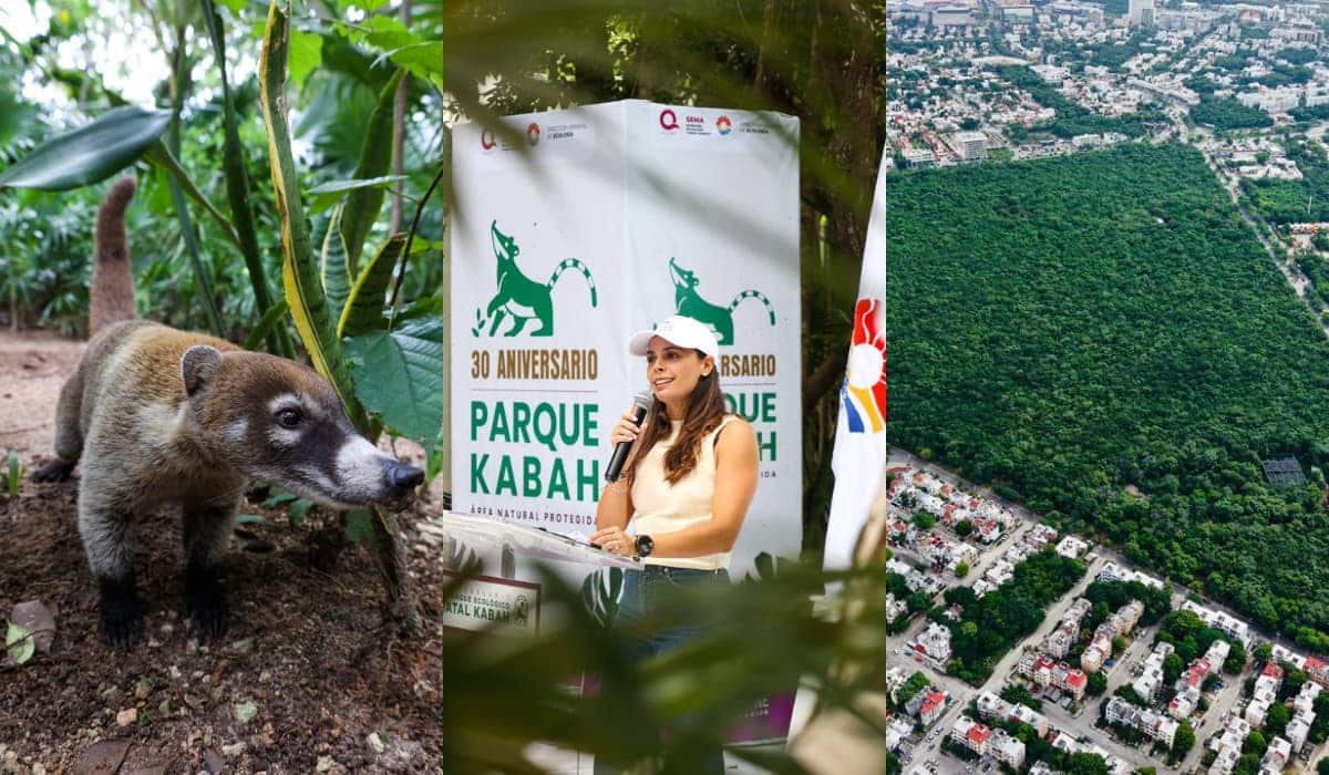 ¿Cuántas hectáreas protege el Parque Kabah en Cancún? El corazón verde de la ciudad celebra 30 Años
