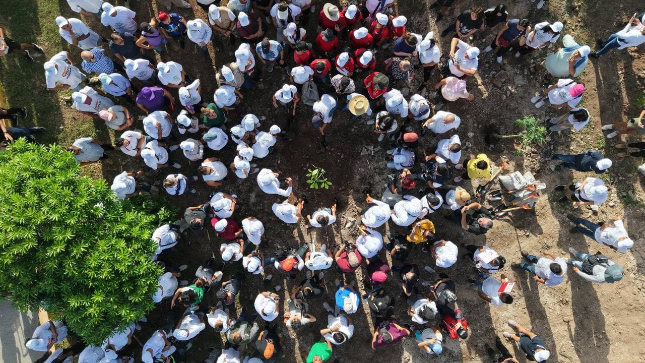 Cancún siembra 2 mil 600 árboles en la primera fase de su plan de arborización urbana