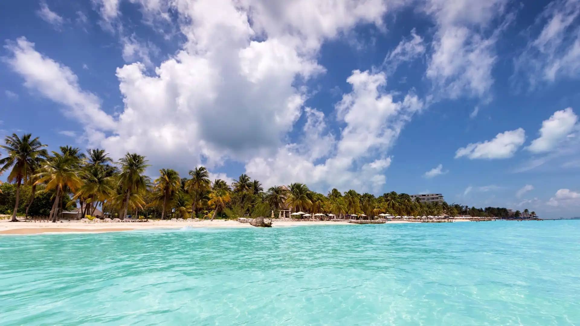 El 'Norte' impacta Isla Mujeres el 26 de enero: Pronóstico y seguridad