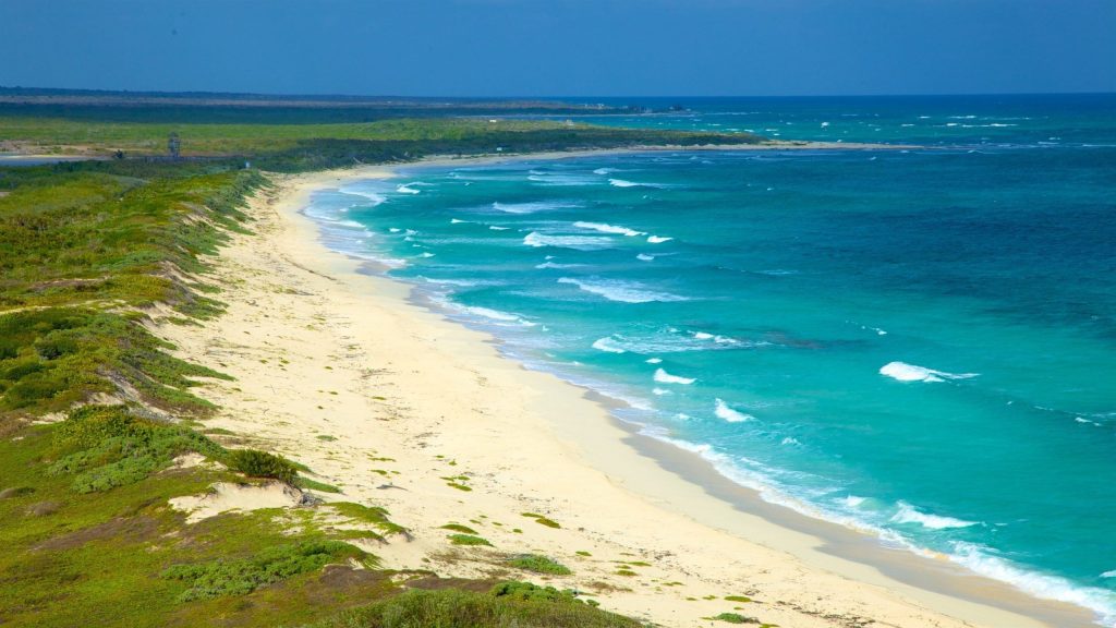 Las mejores playas de Cozumel Guia experta por ecosistema y actividad Punta sur