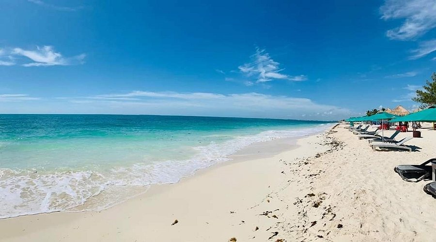 Las 10 mejores playas públicas de la Zona Hotelera de Cancún 2026 3 Playa Marlin Las 10 mejores playas publicas de la Zona Hotelera de Cancun 2026