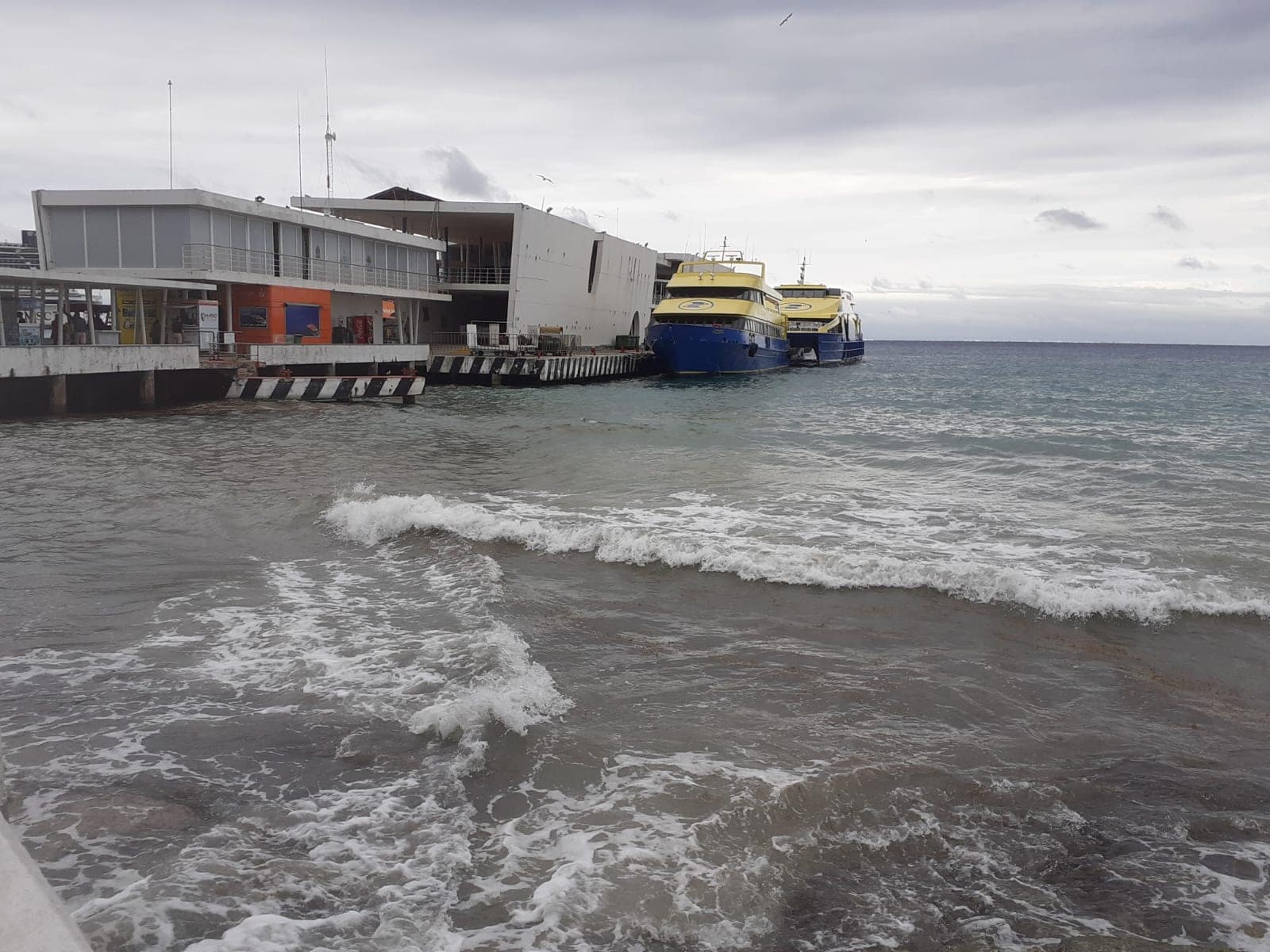 Cozumel: Clima 29 de enero, ferries y logística de viaje