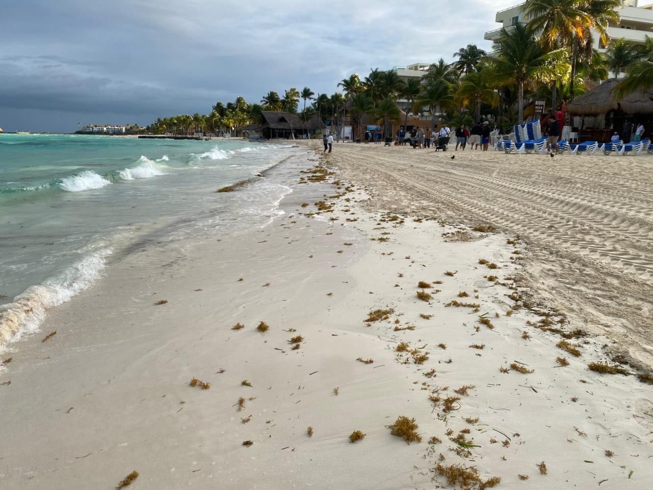 Pronóstico Isla Mujeres 1 de febrero 2026: Viento, frío y puerto cerrado