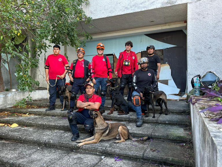 Cómo los binomios K9 de Cancún se preparan para el rescate en desastres