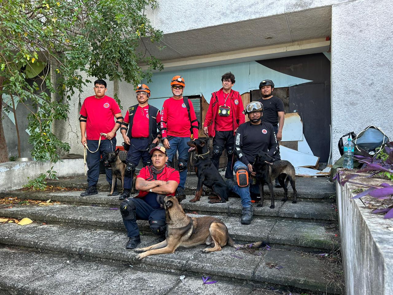 Cómo los binomios K9 de Cancún se preparan para el rescate en desastres