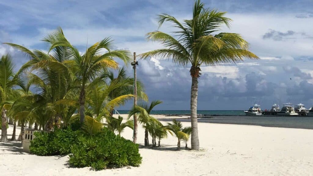 Clima Playa del Carmen: Pronóstico y guía completa para el 29 de enero de 2026