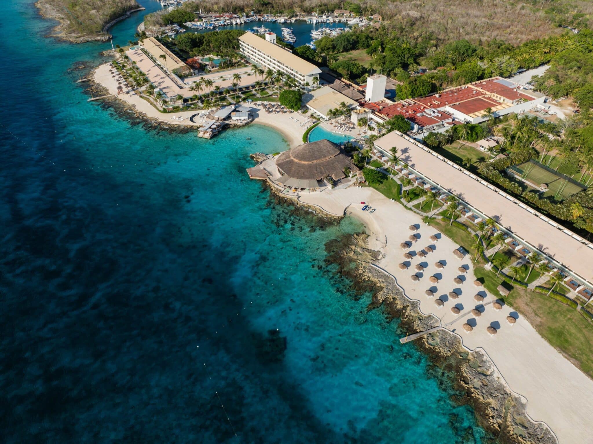 Las mejores playas de Cozumel: Guía experta por ecosistema y actividad