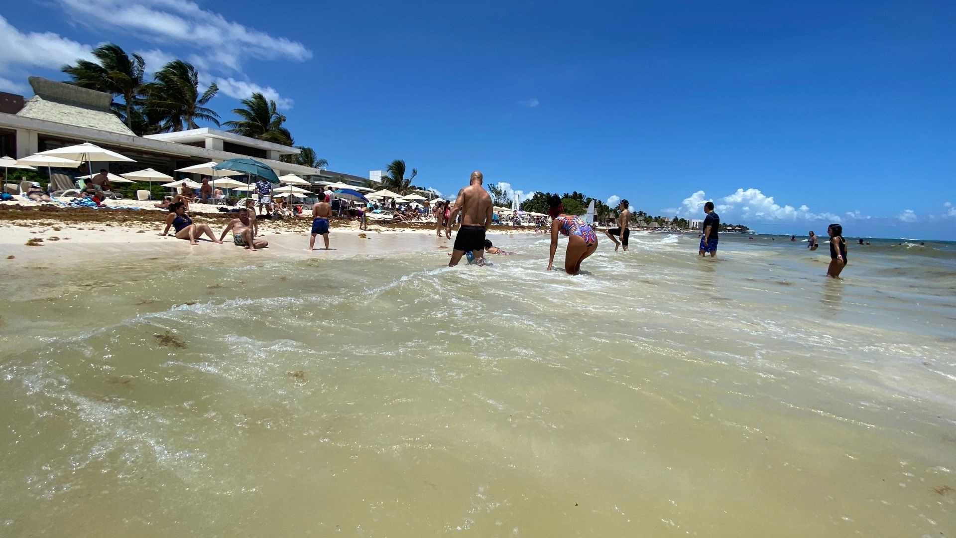 Pronóstico Playa del Carmen: Clima ideal y puertos abiertos el 24 de enero