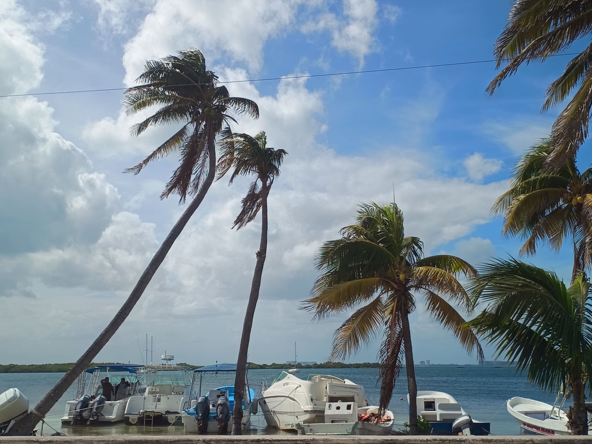 Pronóstico del clima en Isla Mujeres 31 de enero de 2026: Viento, frío y cierre de puertos