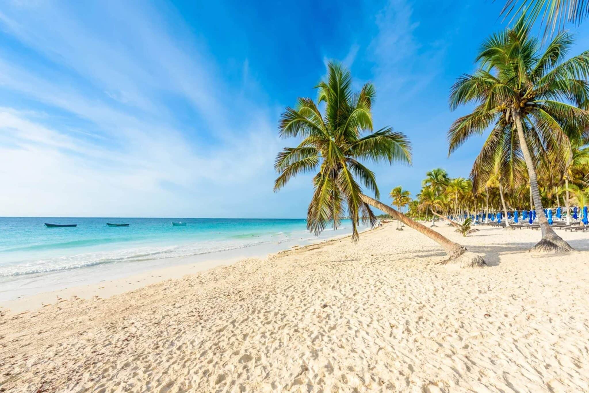 pronostico-tulum-1-febrero-2026-temperatura-minima