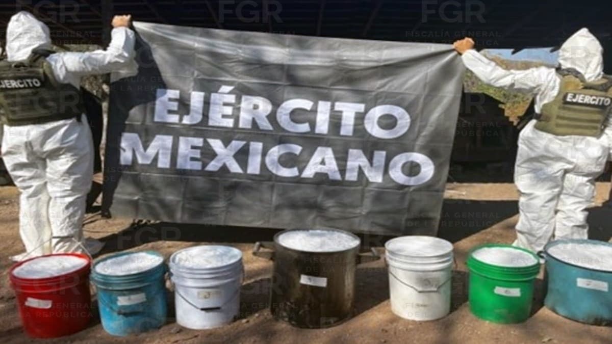Aseguramiento histórico de 5 millones de dosis de droga en Guanajuato