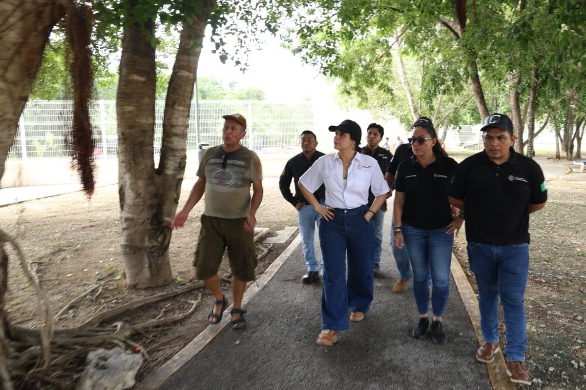 Quejas comunes en Playa del Carmen: Las seis batallas diarias que viven los habitantes