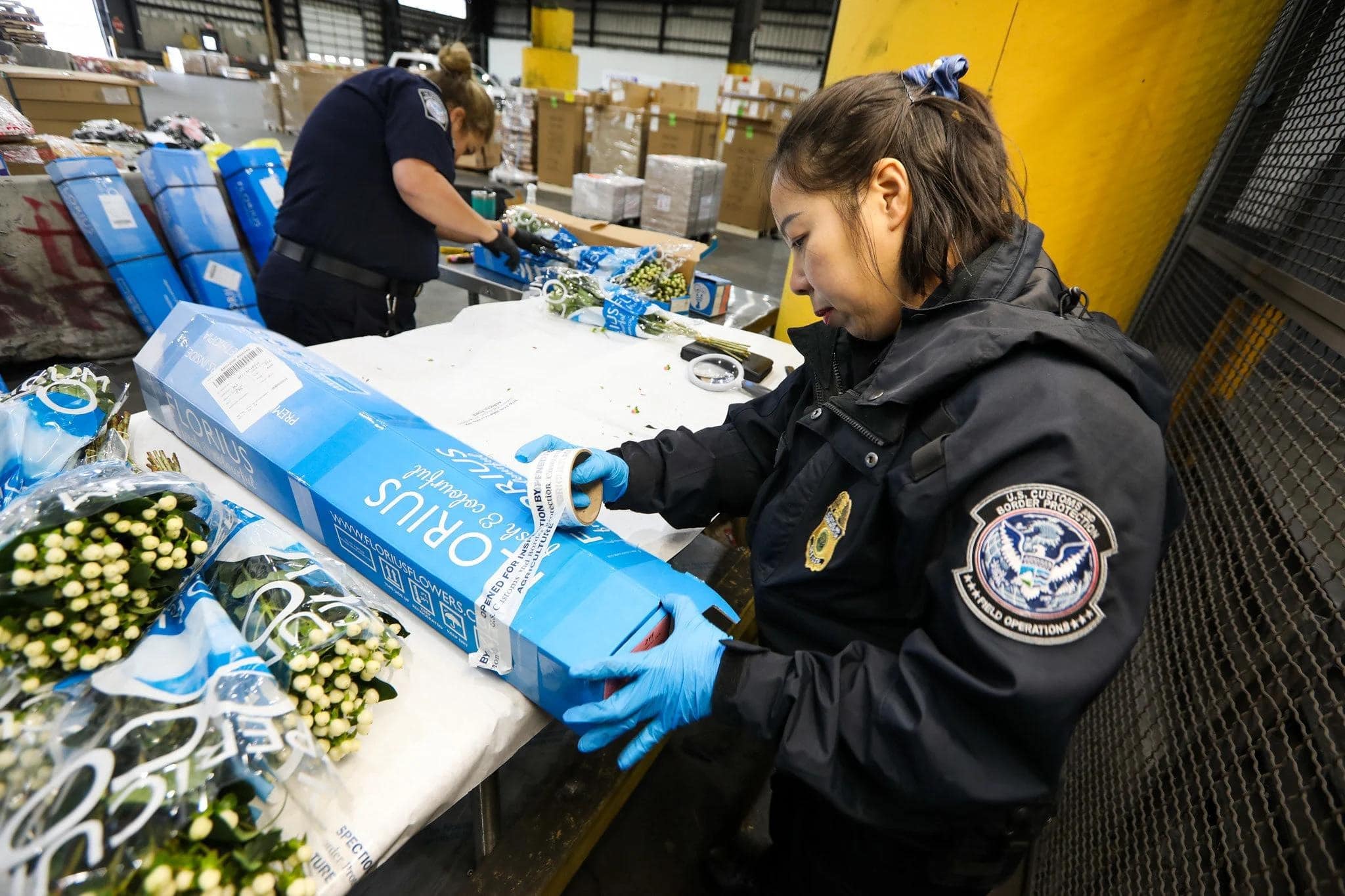 Importación de flores a EU: Récord en Miami pese a aranceles de Trump