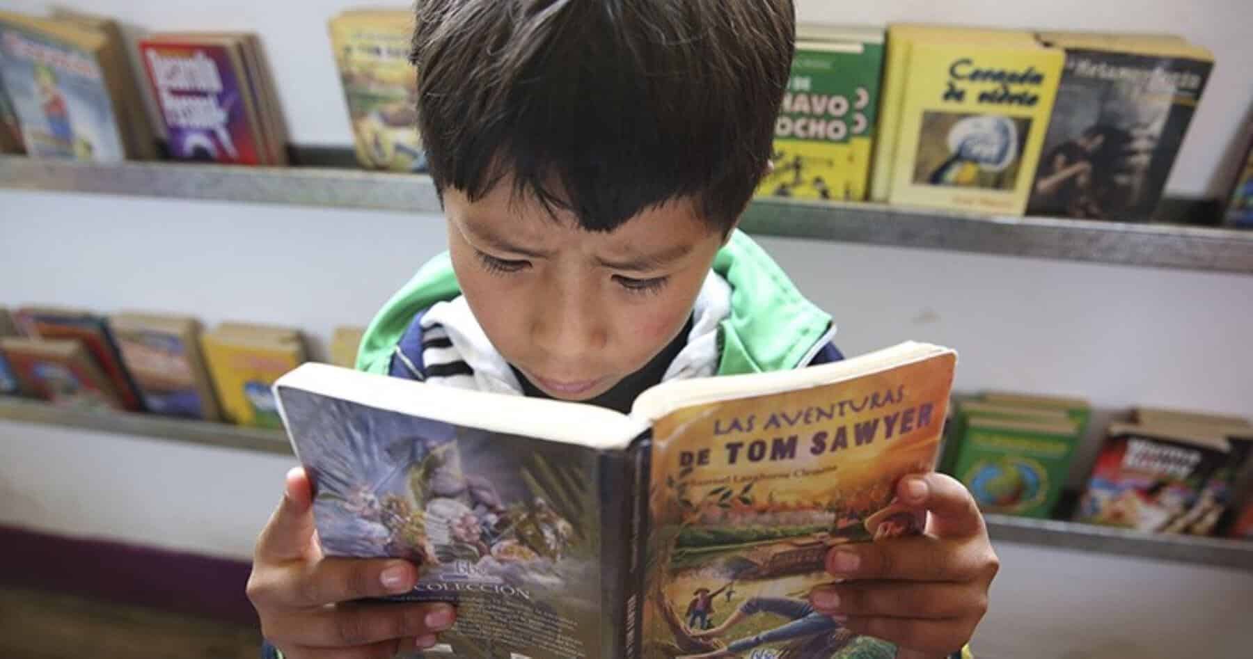 Crisis de comprensión lectora: El 30% de estudiantes de primaria no comprende lo que lee