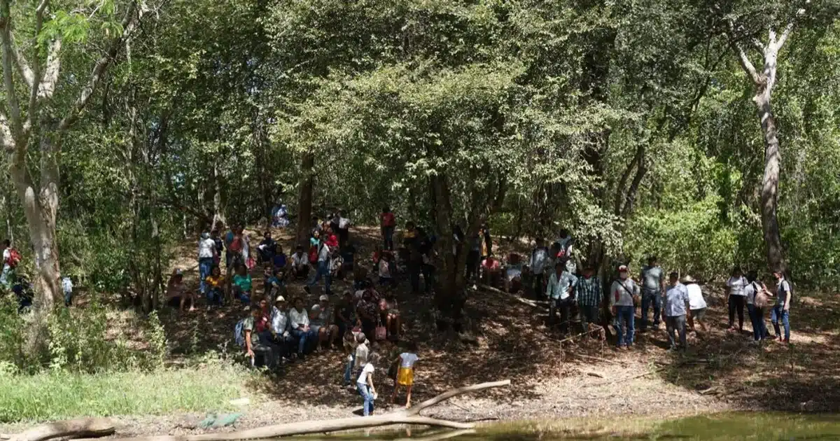 Devastación agroindustrial amenaza el hábitat maya en Hopelchén, Campeche