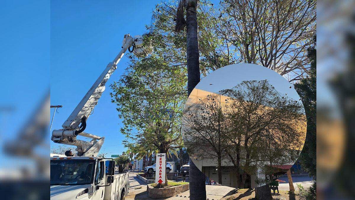 Durango: La trampa metálica que expone la crisis urbana y ambiental