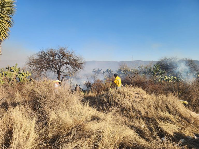 San Luis Potosí bajo fuego: seis incendios forestales desafían a brigadistas y amenazan la biodiversidad