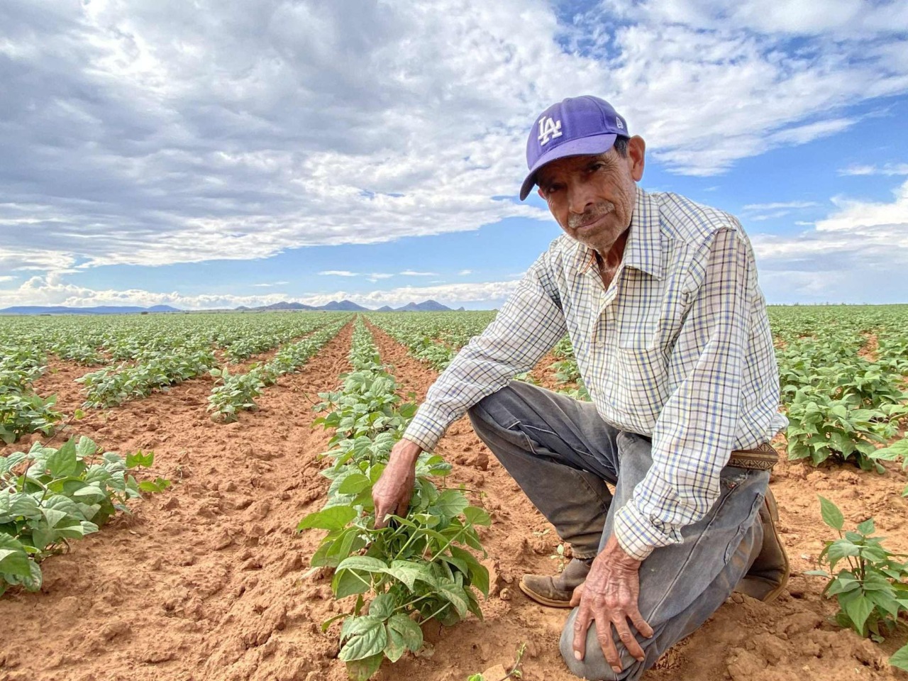 El campo de Zacatecas lanza un ultimátum a Sheinbaum: exigen ley de precios de garantía ante el desplome agrícola