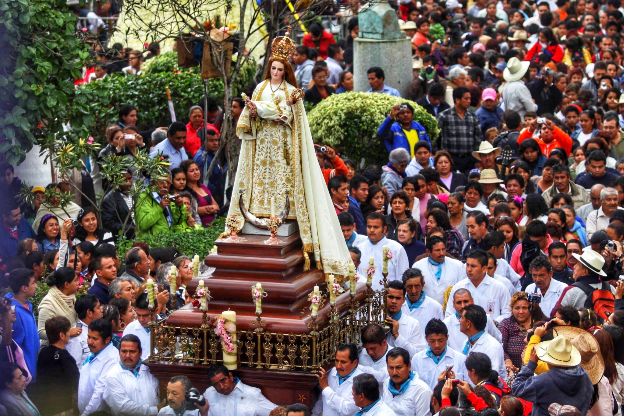 Edición 249 de las Fiestas de la Candelaria: Tlacotalpan bajo la lupa