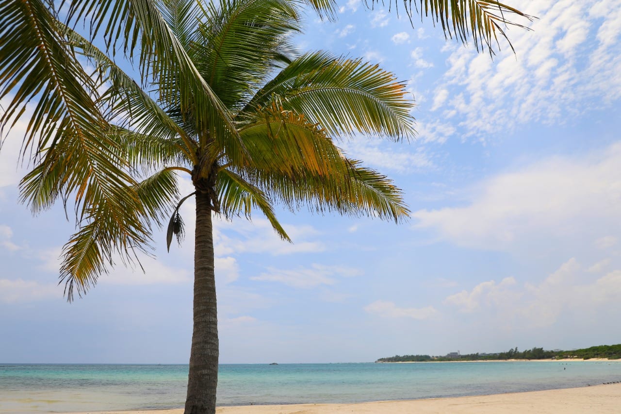 Clima y planes en Playa del Carmen para el viernes 6 de febrero de 2026