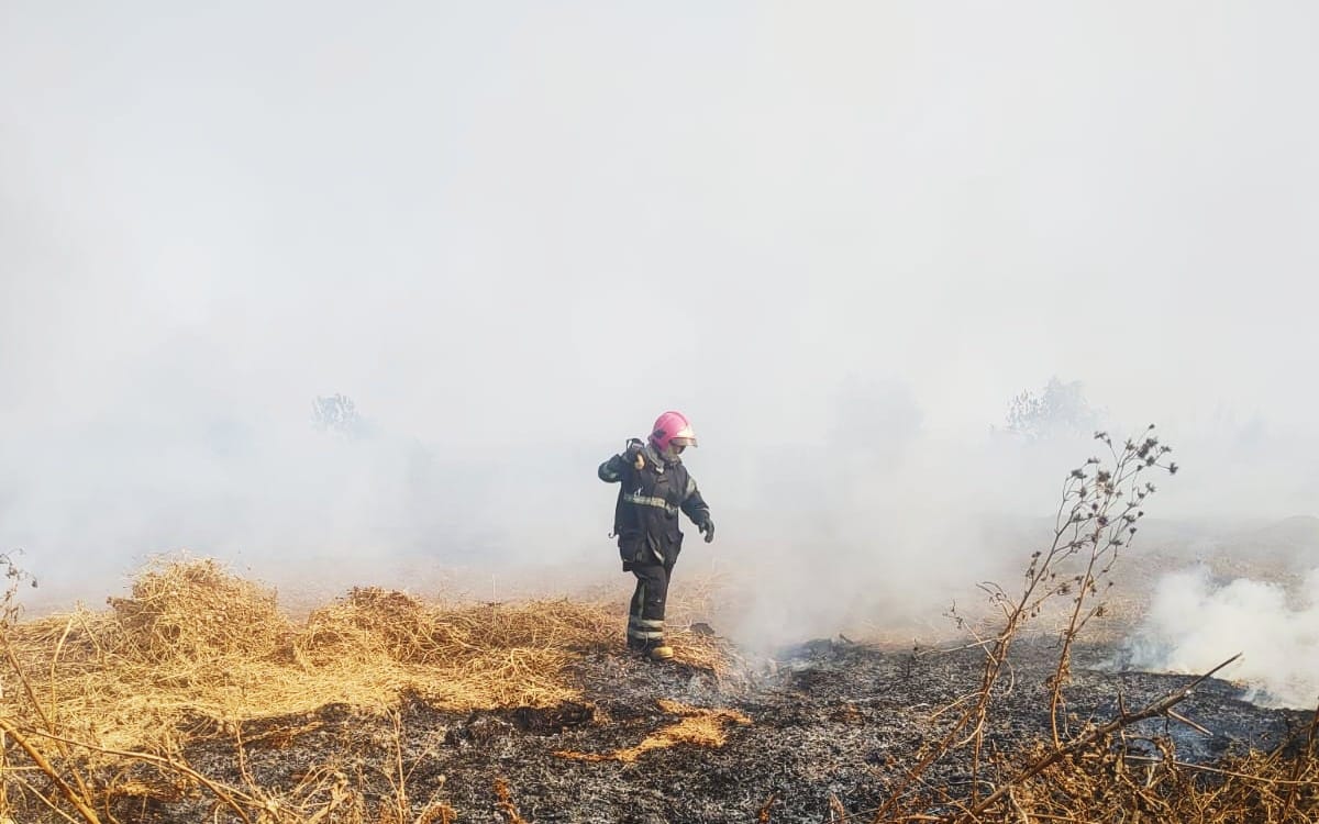 Contingencia ambiental en el Valle de México por incendios de pastizales