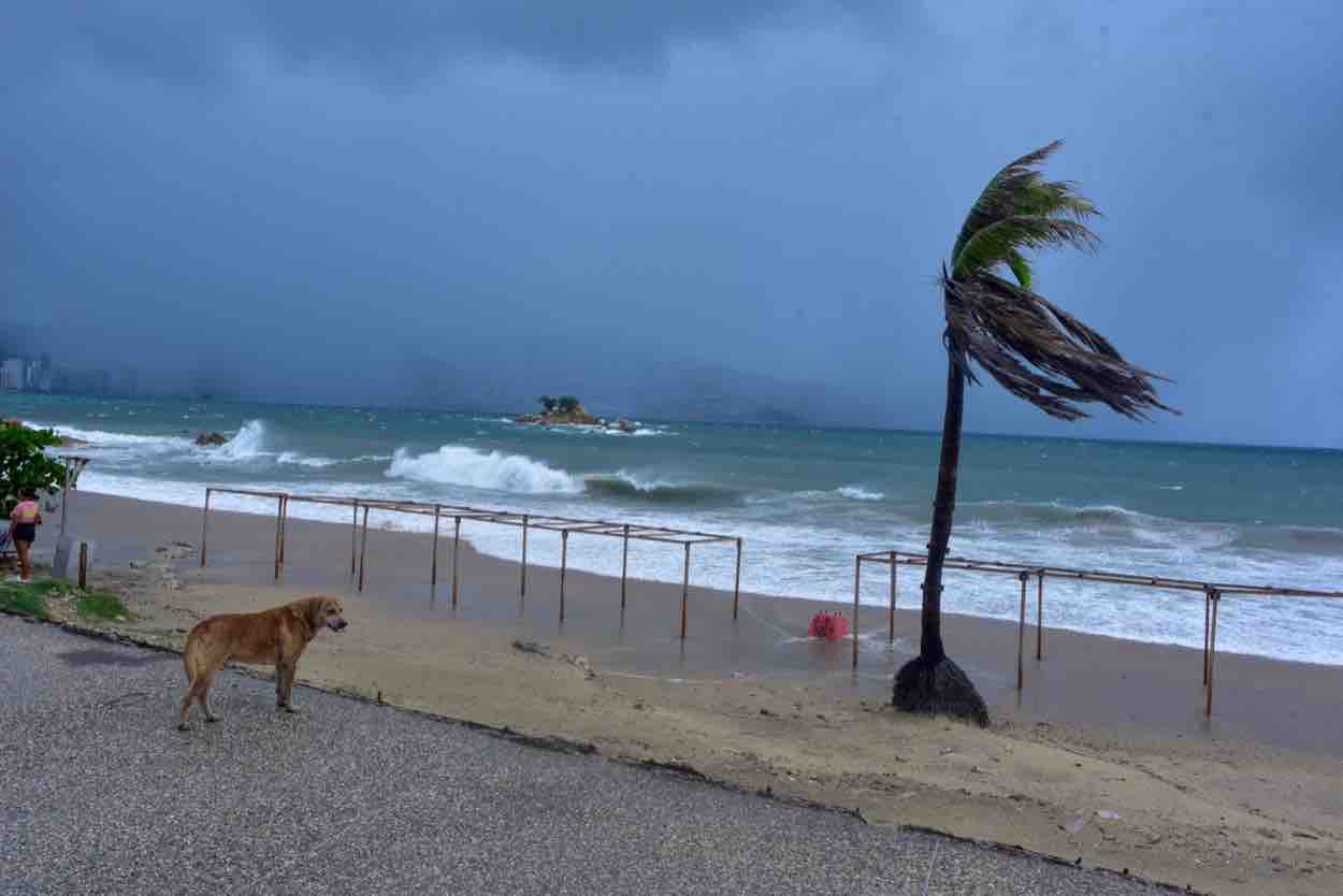 Lluvia atípica arrastra basura y larvas a playas de Acapulco en febrero 2026