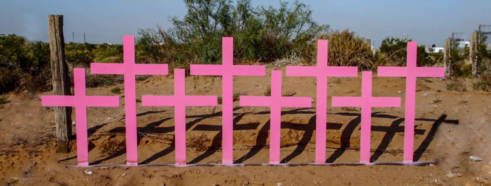 México blinda protección: 28 convenios unifican respuesta a violencia de género