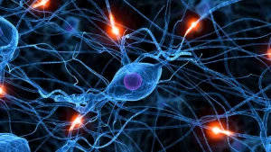 ChatGPT y la salud: Los límites críticos de la IA en situaciones de emergencia 1 neuronas artificiales silicio medicina 2026