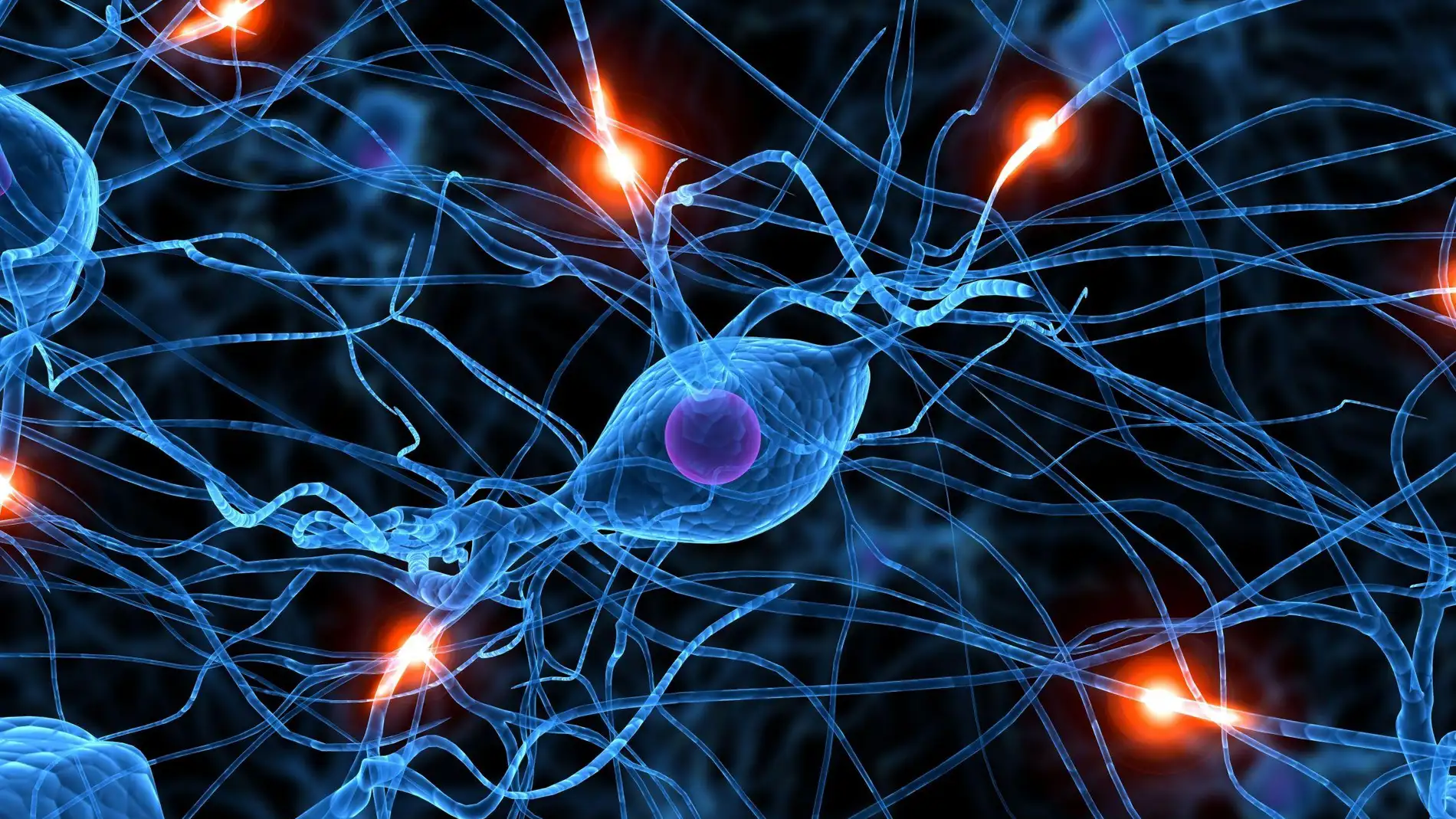 Neuronas artificiales de silicio: el fin de la frontera entre biología y hardware