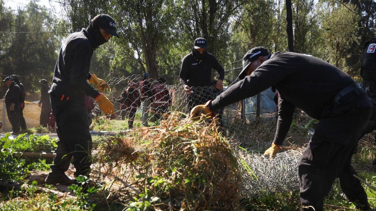 CDMX protege Xochimilco: rescate vital contra la urbanización ilegal
