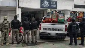 Crisis en Veracruz: Segundo delfín hallado muerto tras derrame tóxico 2 operativos contra apuestas veracruz