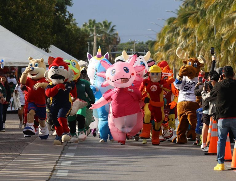 La reinvención de Cancún: Qué hace invencible al Paseo Cancunense en su primer año