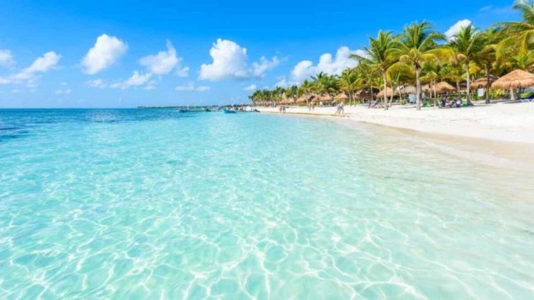 Playa del Carmen: Clima perfecto este 28 de febrero