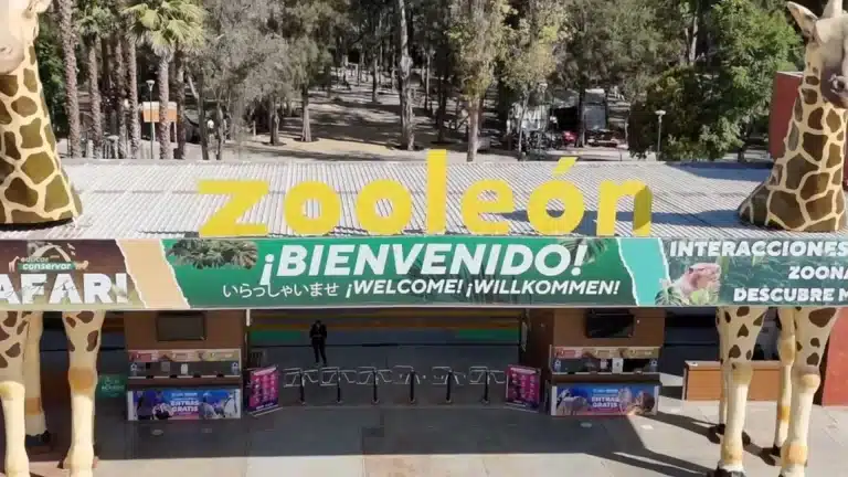 Conflicto ético en León: ¿director de zoológico con historial de maltrato?