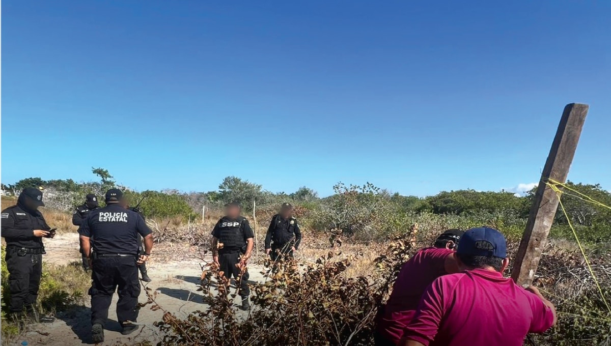 Profepa clausura desmonte ilegal de manglar y lotificación en Progreso, Yucatán