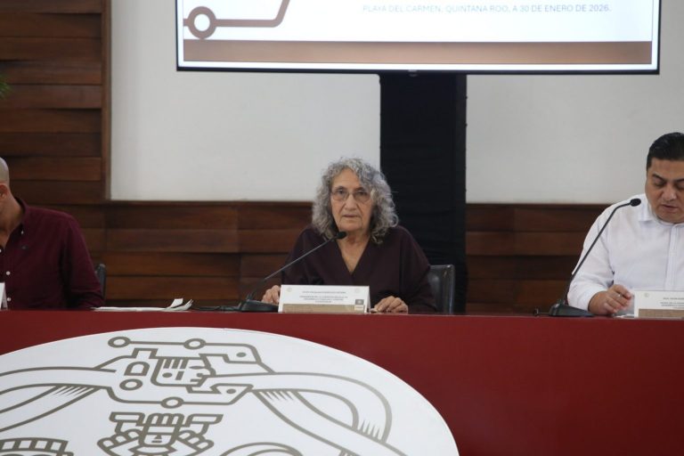 Reglamento de adicciones de Playa del Carmen: Los cambios clave de Estefanía Mercado