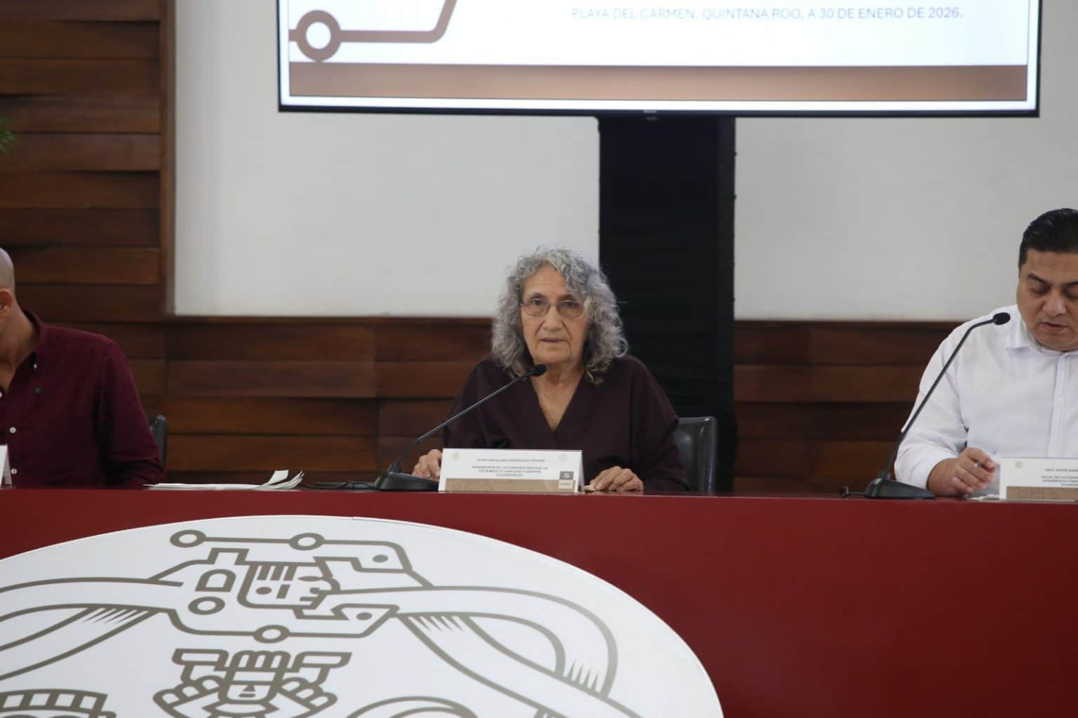 Reglamento de adicciones de Playa del Carmen: Los cambios clave de Estefanía Mercado