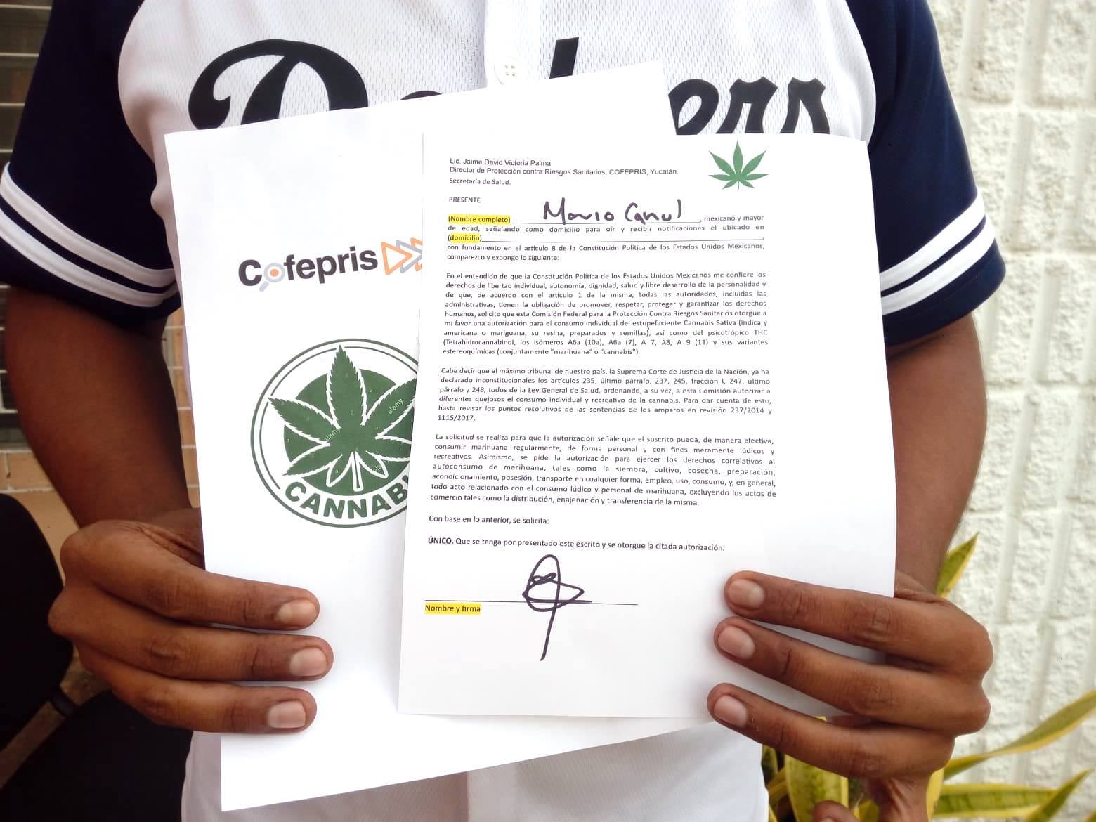 SCJN: Amparo por mariguana personal confronta límites legales