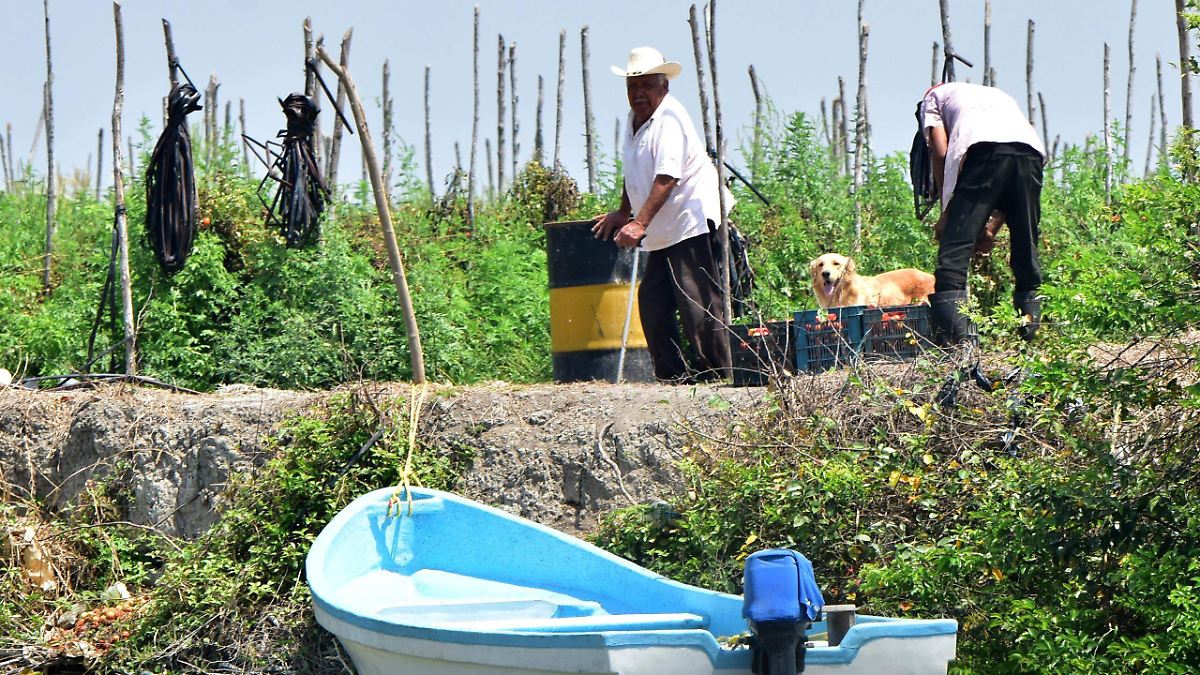 Cierre en Rumbo Nuevo: Ejidatarios exigen pago de 8 mdp en Tamaulipas