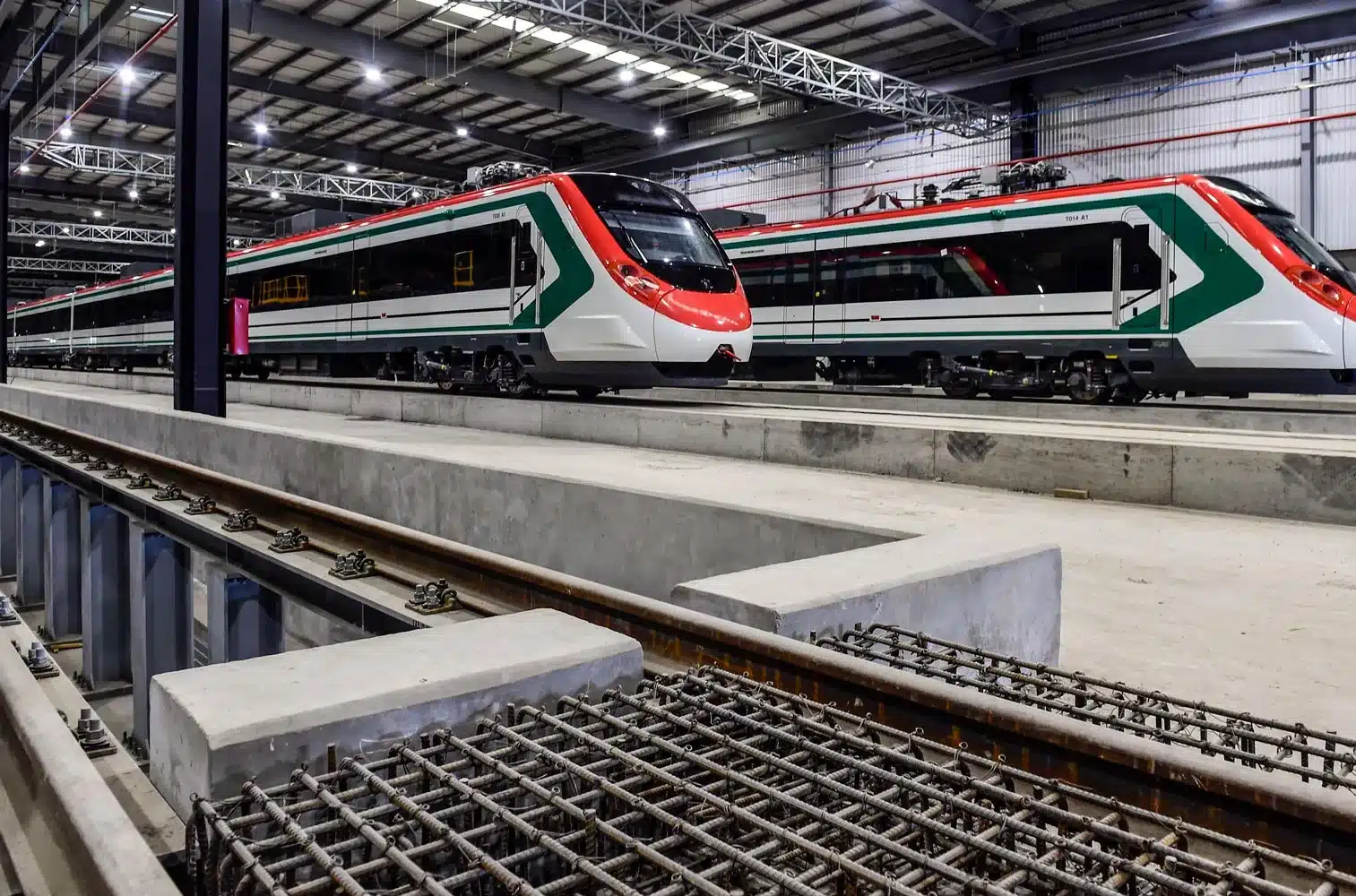 Largas filas y contratiempos en el primer día de ruta completa del Tren El Insurgente