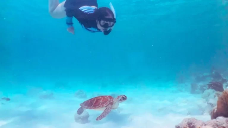 Domina el clima de Cozumel este 7 de marzo y asegura tu ruta