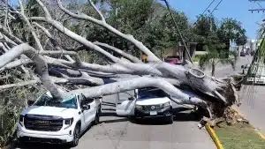 Protégete del clima extremo por frente frío 44 y temperaturas de 45 grados 2 alerta meteorologica tampico norte frente frio