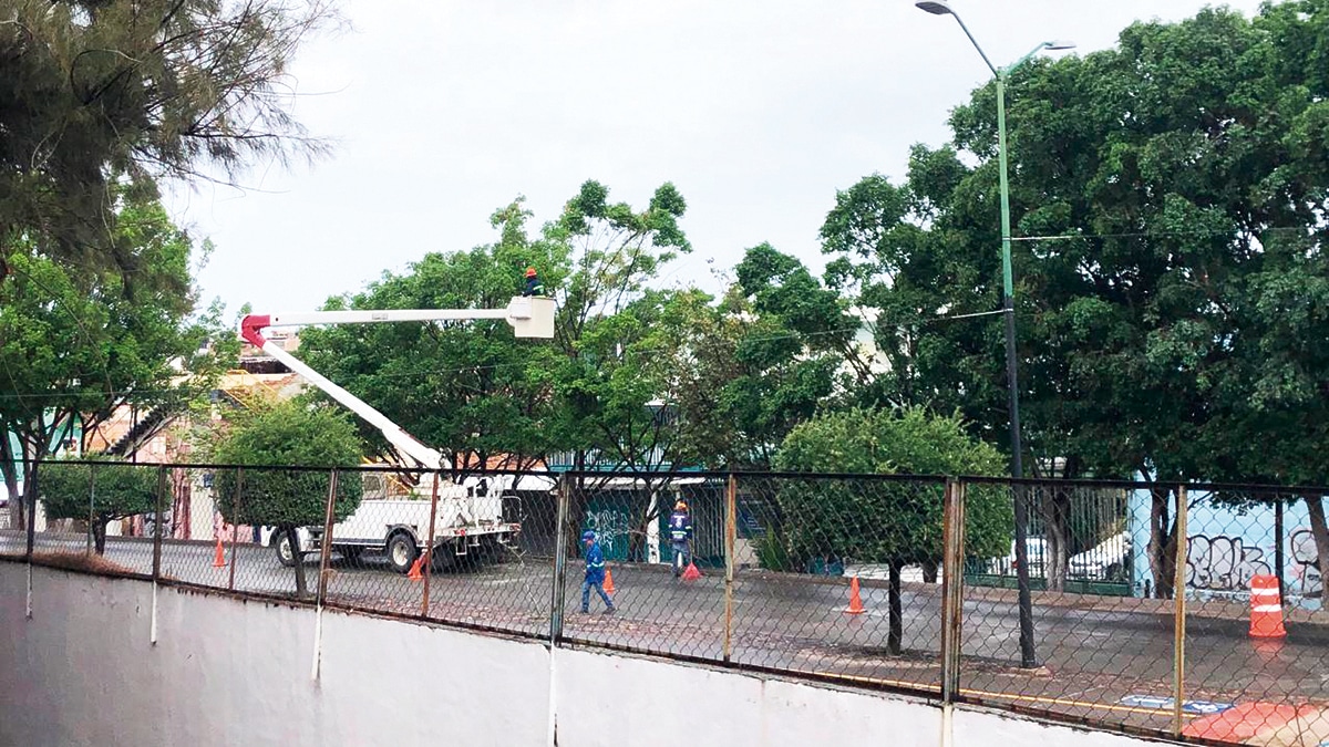 León blinda su infraestructura urbana ante el colapso de arbolado por ráfagas de viento