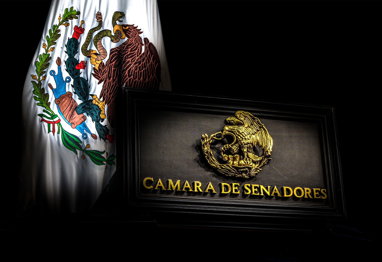 Rescatar la altura legislativa para frenar la parálisis en el Senado