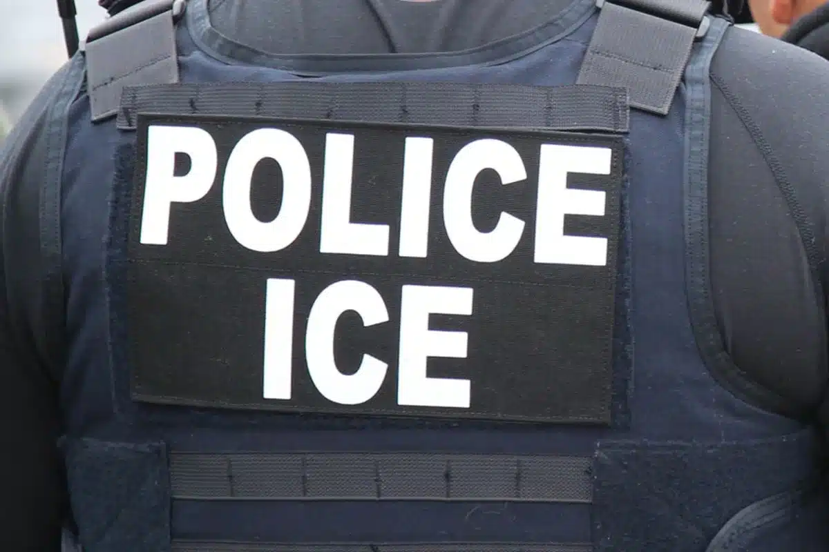 Crisis en la TSA: el despliegue de agentes de ICE en aeropuertos de EE. UU.