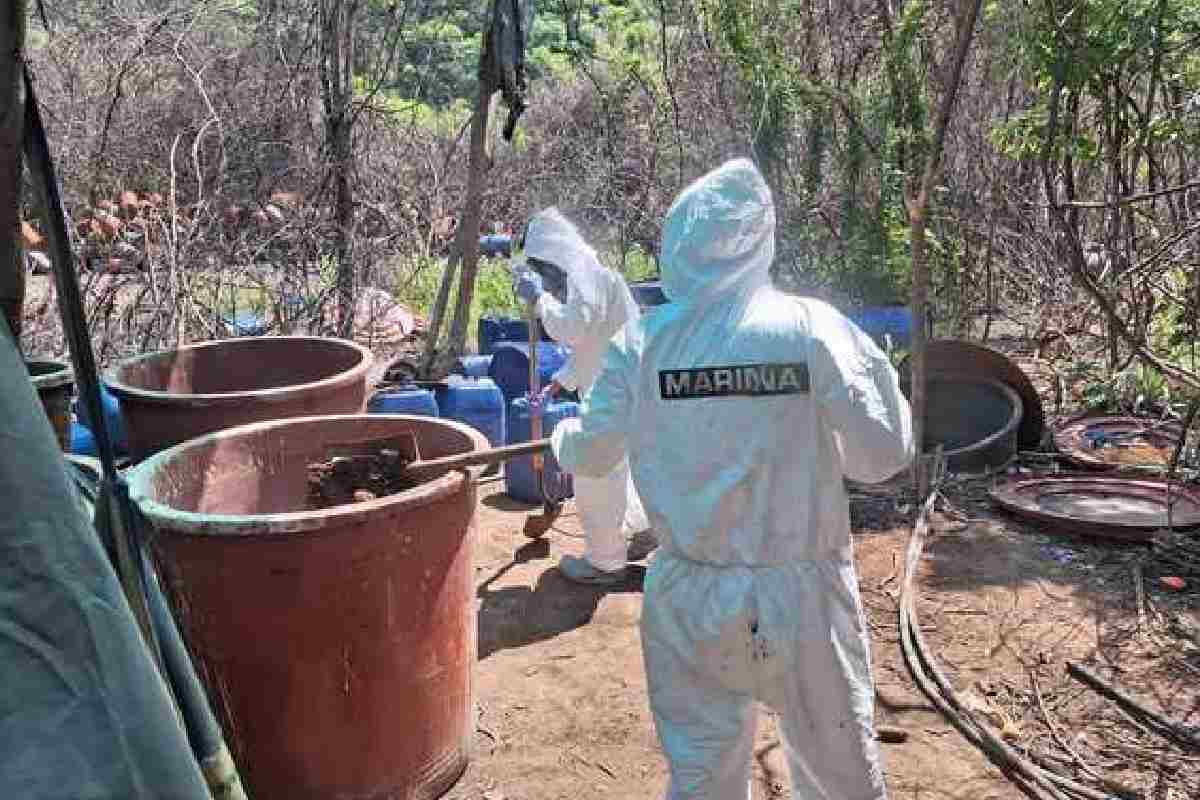 Estrategia federal desarticula flujo de 14 millones de pesos en Culiacán