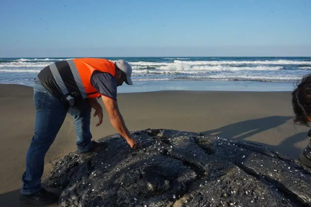 El derrame de hidrocarburo impacta el litoral de Veracruz bajo hermetismo oficial