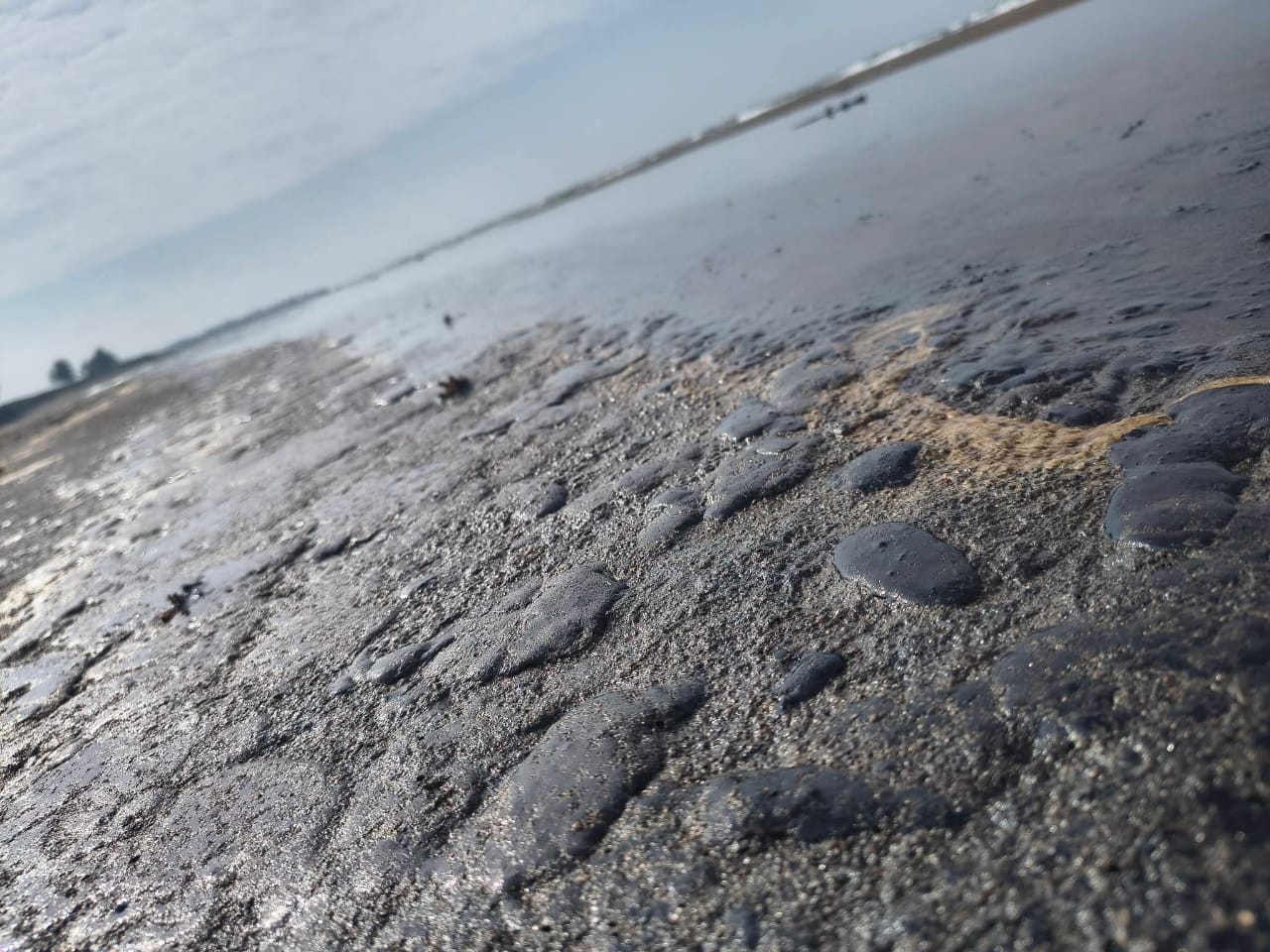 Marea negra en el sur: ecocidio en Pajapan amenaza la Laguna del Ostión