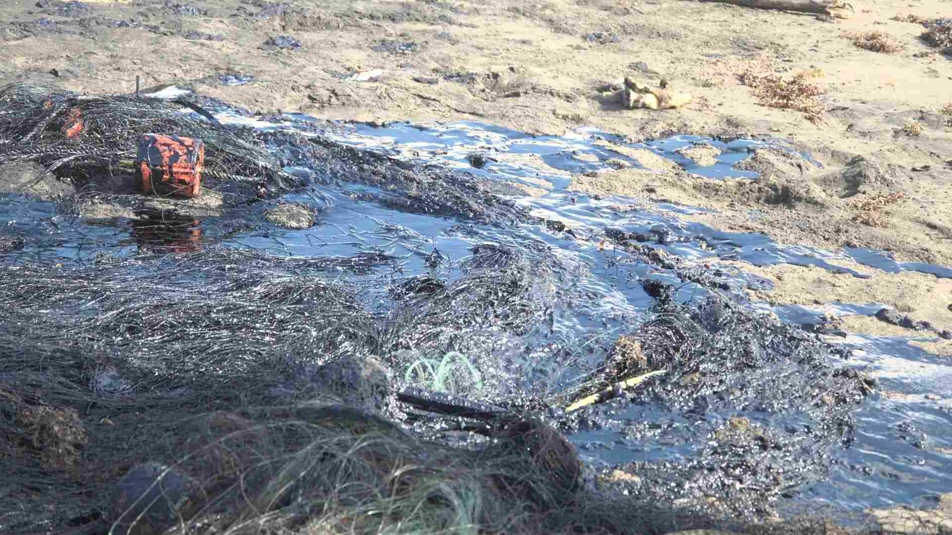 Ecocidio en el golfo: el sur de Veracruz bajo la mancha del crudo